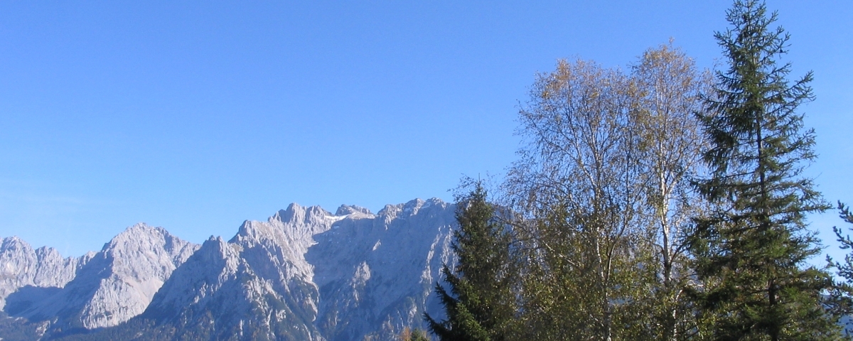 IMG_7596