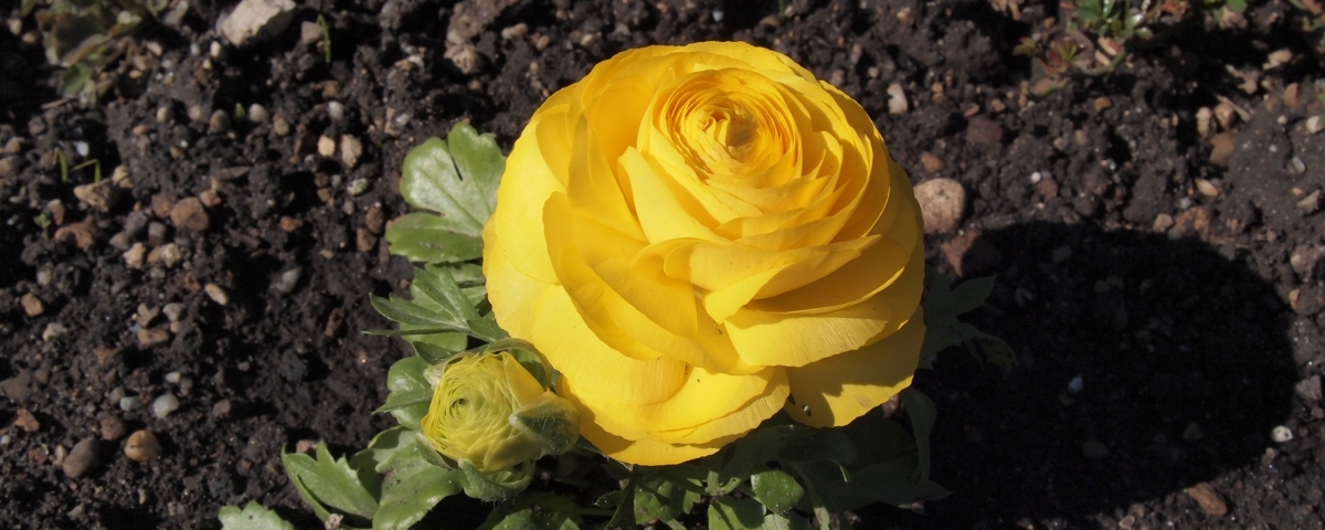 P4020996