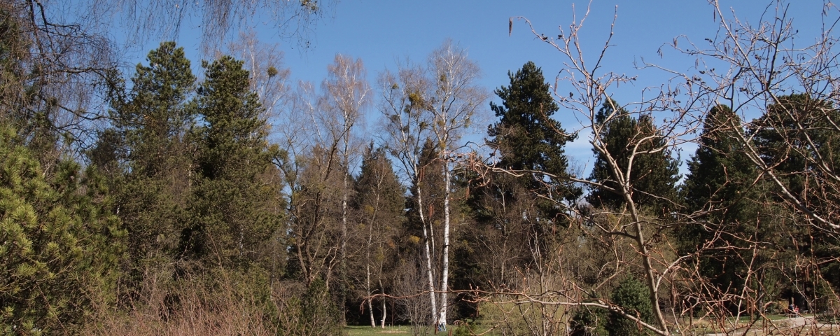 P4021078