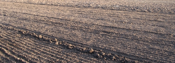 foto by ams / copyright by zdenek fajfrlik